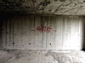 一片废墟的拼音，废墟的拼音坍塌的拼音