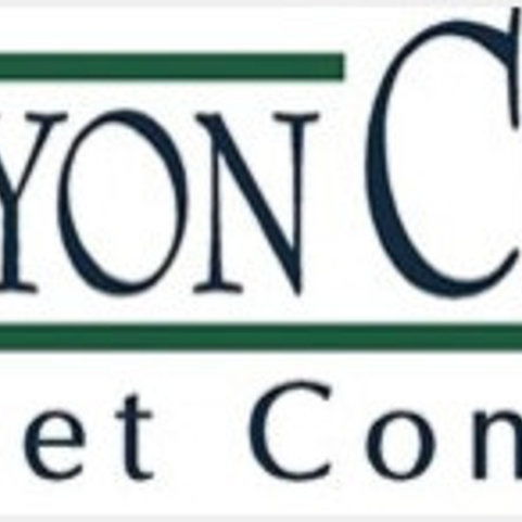 塑造的单词塑造的单词是什么