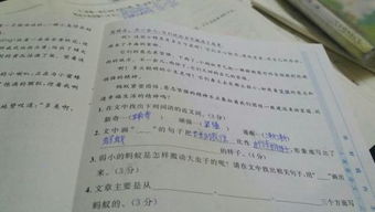蚂蚁的启示小学作文
