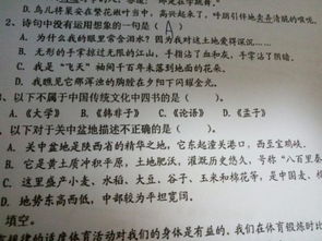 下列古书中不属于四书之一的是a，下列古书中不属于四书之一的是哪