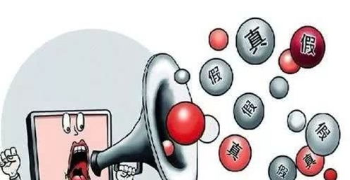 慧的意思及寓意女孩，智慧的意思