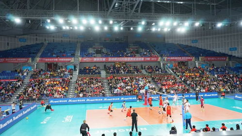 国内十大运动品牌