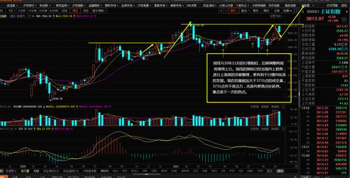 后市是什么意思
