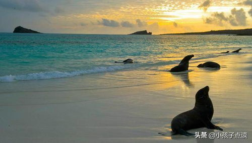 湖水造句短一点