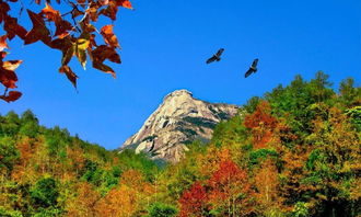 新丰云髻山旅游攻略，新丰云髻山图片