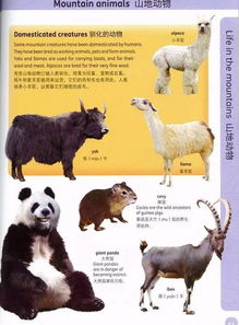 关于各种动物的英语谚语