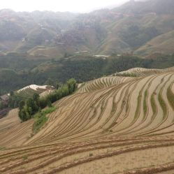 攸县石羊塘金坑有什么好玩的