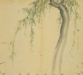 昔我往矣,杨柳依依的意思，希望我矣杨柳依依的意思