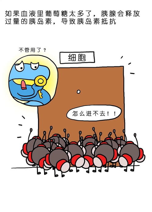 兄弟全是瘦长个猜一肖，兄弟肖是指哪几肖