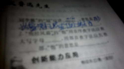 岁月风霜的意思，字挟风霜的意思