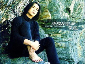 我想我是海歌词表达的什么意思，我想我是海歌词大意