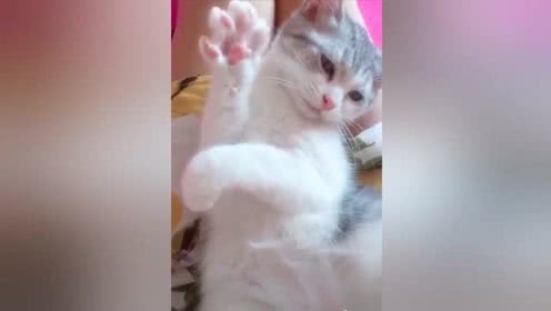 很不情愿的意思，好不情愿的意思