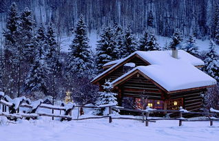 大雪纷飞的诗句有哪些