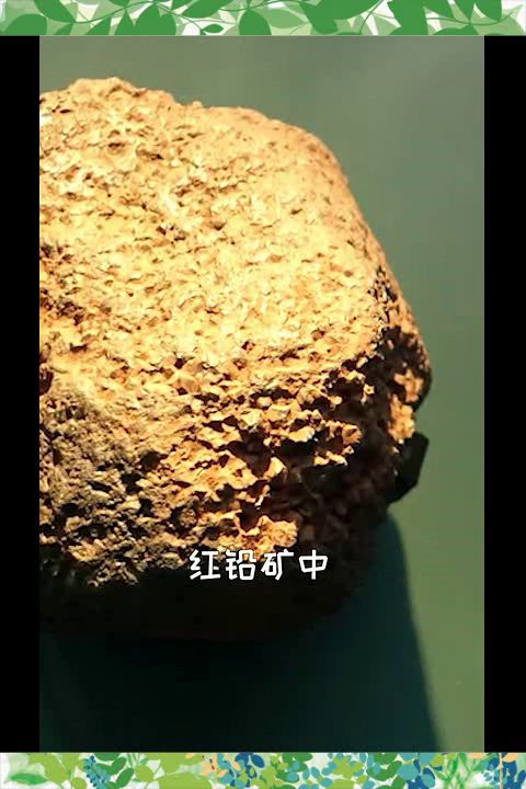 坚硬的意思坚硬的意思是什么