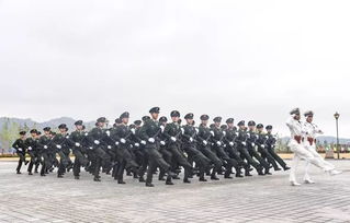 人民海军向前进 歌曲歌词，人民海军向前进歌词原版