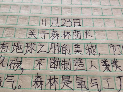 森林防火优秀作文