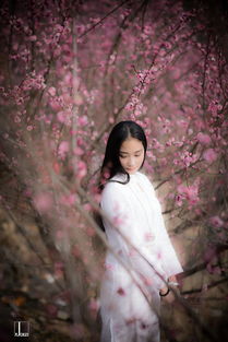 在梅边的歌词???