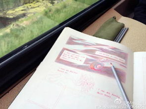 cici项偞婧名字怎么读?