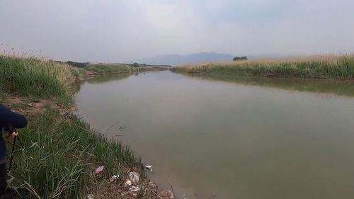 河汊还是河岔,哪个正确，河汊的拼音