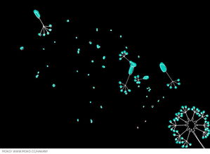 color是什么意思翻译