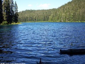 湖水造句二年级，湖水造句简单
