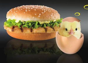 美食的成语接龙，形容吃美食的成语