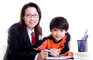 保定101教室怎么样