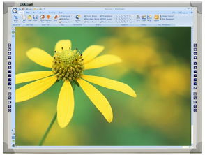 sensitive是什么意思