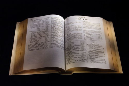 向您推荐一本书200字，推荐一本书200字三国演义