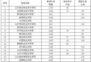 山东大专排名前十，山东大专学校