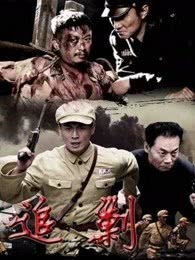 追剿全部演员表，追剿电视剧第30集免费观看