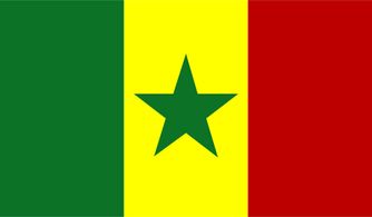 绿黄红竖条是哪国国旗?