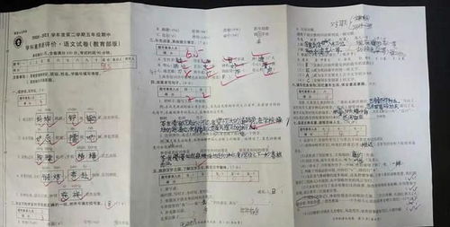 遨游汉字王国作文400字免费，遨游汉字王国作文350