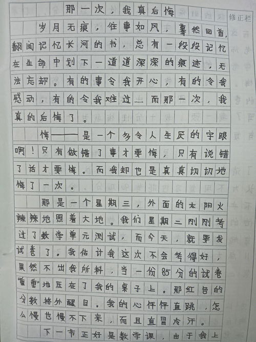 初中那一次我真后悔作文600字