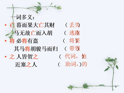 翁的组词是什么