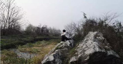 莫以宜春远江山多胜游出自哪首诗