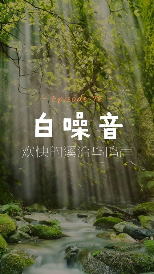 啁啾怎么读什么意思