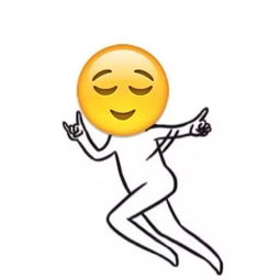 不解是什么意思