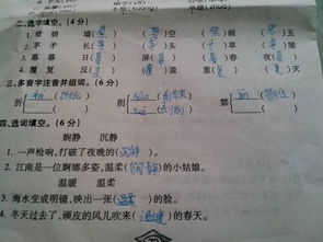 折字有几个读音?