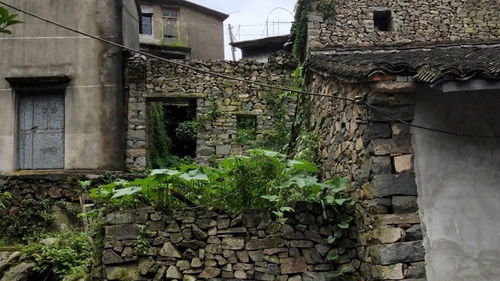 新明村位于哪个省