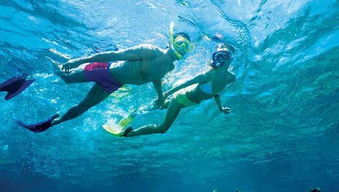 如果你有一次去海底探险的机会你会和谁一起去呢你会遇见哪些生物_百度