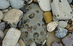 滴水穿石是什么意思解释