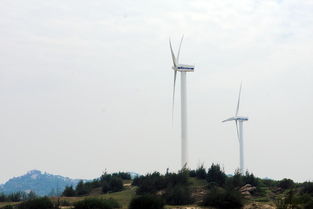 矗立的近义词，矗立啥意思