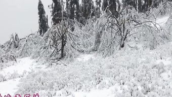 海上会有冰灾的原因