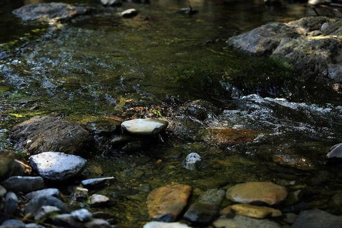 其间千二百里虽乘奔御风不以疾也，其间的读音