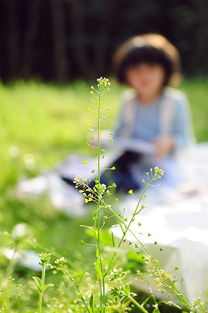 阳光明媚的近义词成语，阳光明媚近义成语