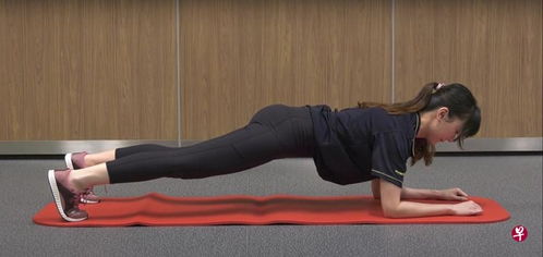 forearm怎么读，forearm是哪个部位