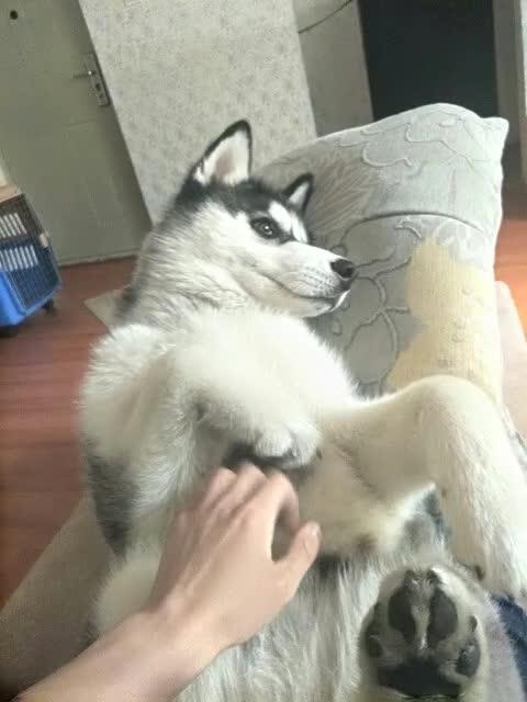 瞥的意思和读音，瞥是看的意思吗