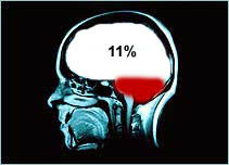 provided什么意思中文