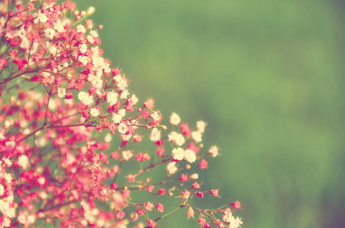 春分是什么意思 春分有什么含义，二十四节气中的春分是什么意思